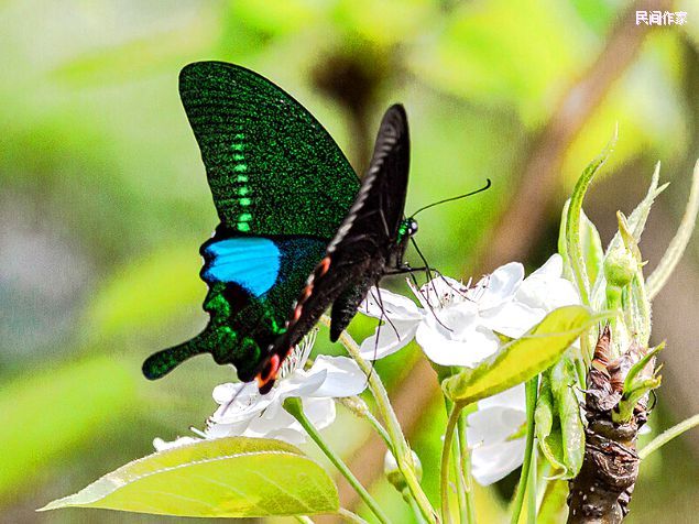 �Ķ����ڵ���ֻ����