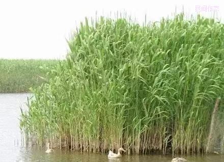 ����������һ����