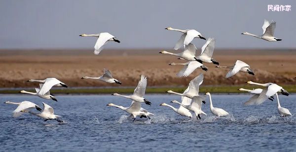 ��һ��ͻ��ڶ�ͥ������