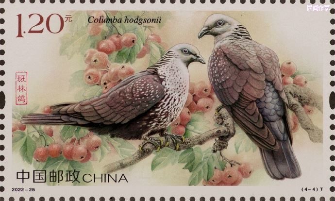 ���ɡ���2022-25���롷������Ʊ��ƽˮ�ϣ�