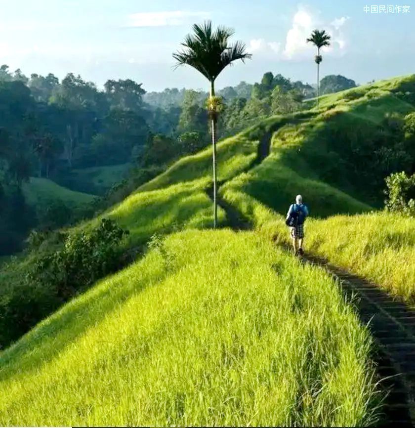 �û���������һ������