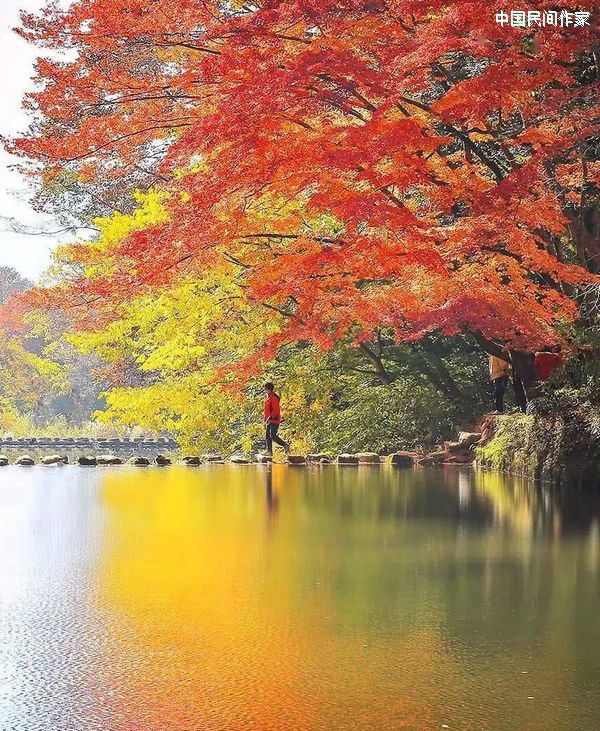 ��������������ɺ�