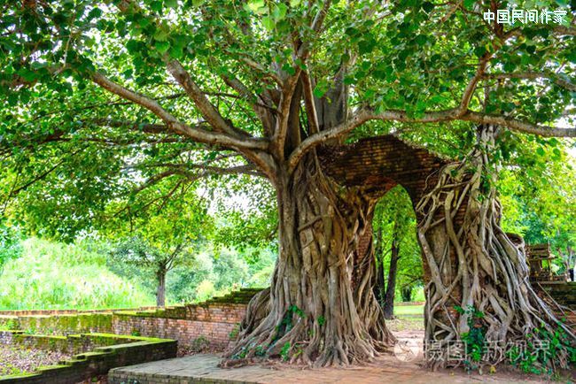 ��������������ĸ�׵Ľ�ӡ